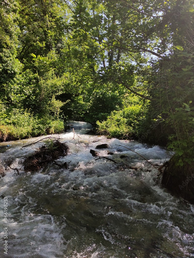 Obraz premium waterfall in the forest