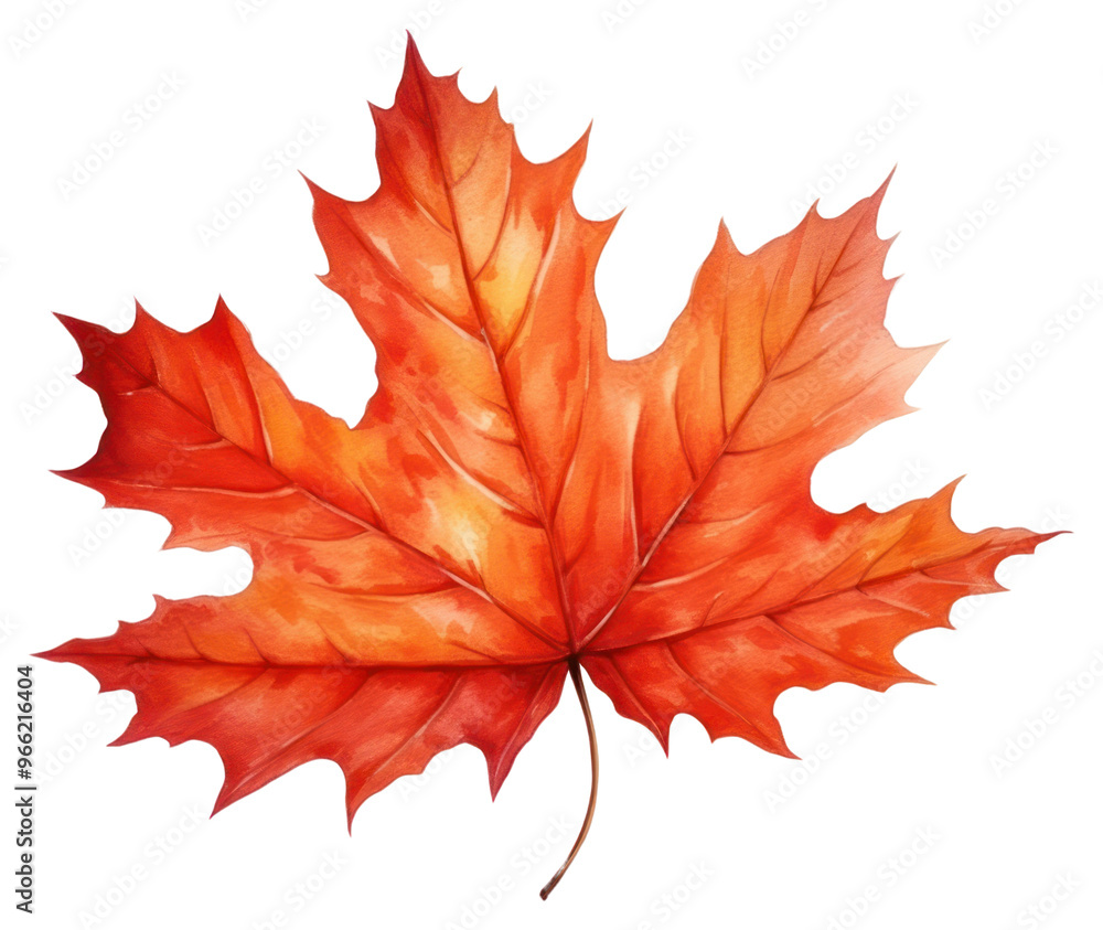 PNG Vibrant autumn maple leaf illustration PNG Vibrant autumn maple leaf illustration