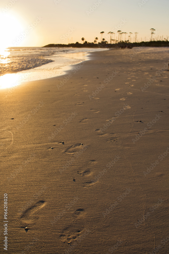 beautiful sunset along beach as waves roll in and out over warm reflecting sand. Tranquil and scenic view of vacation destination. beautiful sunset along beach as waves roll in and out over warm reflecting sand. Tranquil and scenic view of vacation destination.