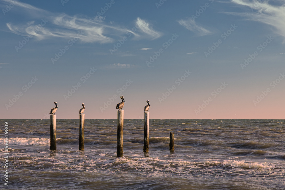 Pelicans resting on piling of pier remains on Florida beach with beautiful sunset sky in background Pelicans resting on piling of pier remains on Florida beach with beautiful sunset sky in background