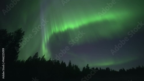 Green aurora arc with purple ray rising above a forest, real-time video