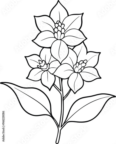 Delphinium flower icon silhouette illustration on black and white