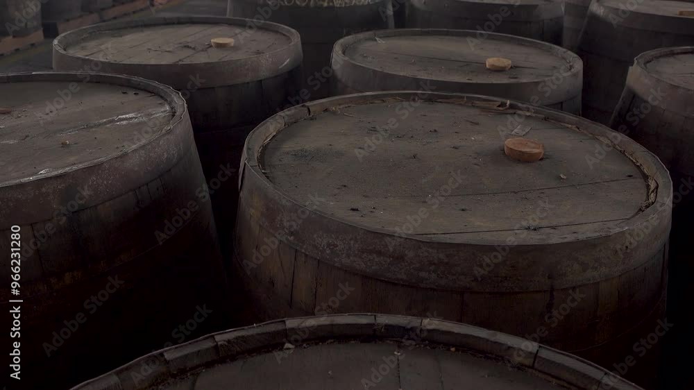 The tops of dusty wooden barrels with corks in them aging rum in a warehouse The tops of dusty wooden barrels with corks in them aging rum in a warehouse