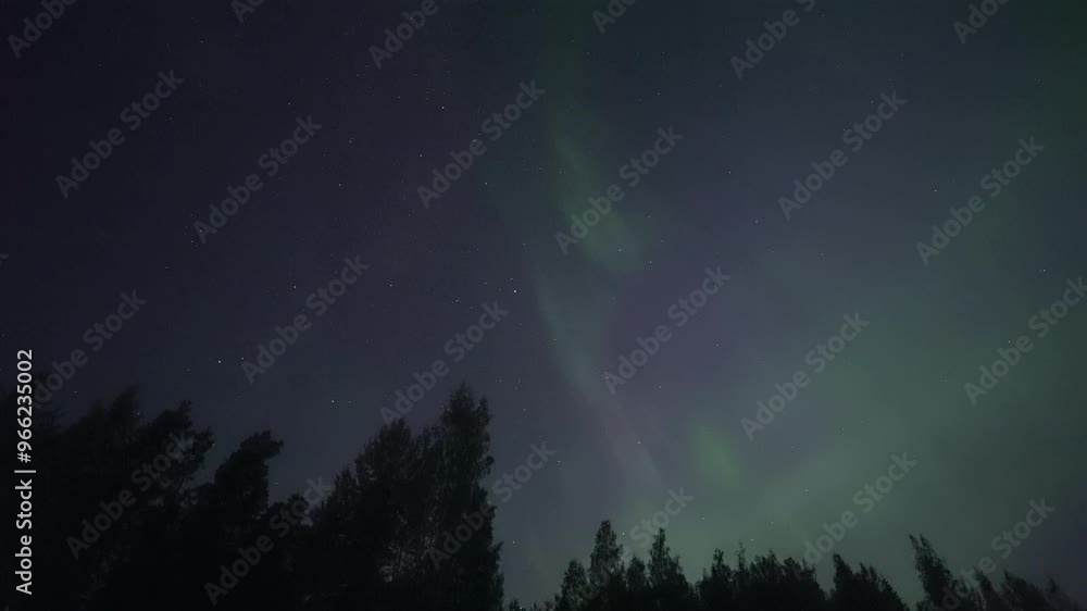 Shooting star descends just below the treeline, beneath glowing auroras. Real-time video. Shooting star descends just below the treeline, beneath glowing auroras. Real-time video.