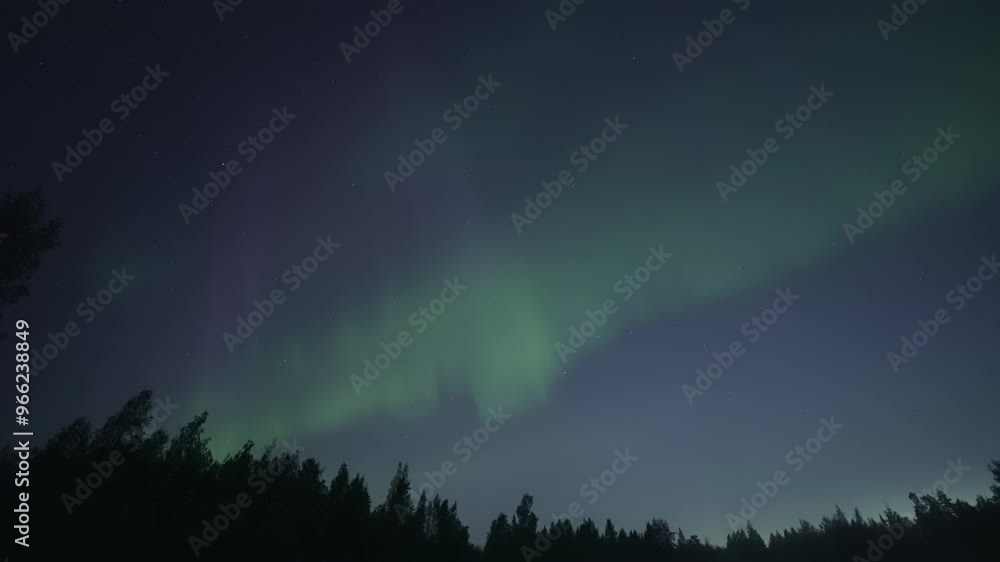 Pulsating aurora above treeline, real-time video Pulsating aurora above treeline, real-time video