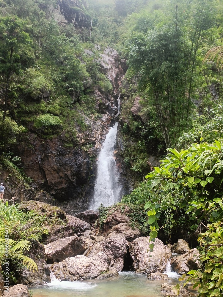 Obraz premium waterfall in jungle