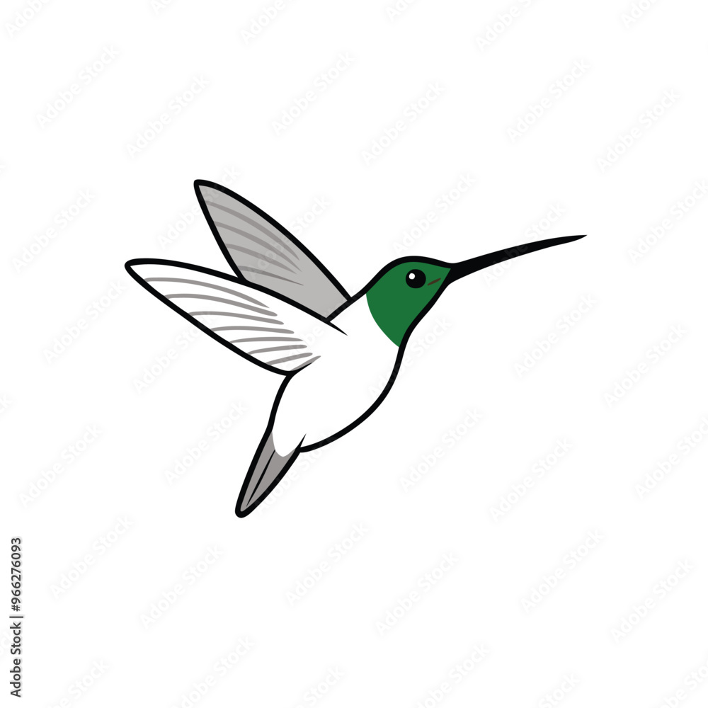 Obraz premium A flying Hummingbird vector illustration clipart, white background