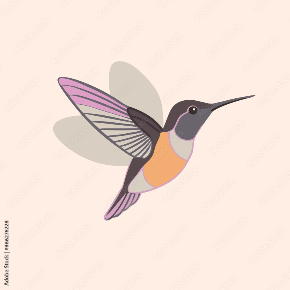 Obraz premium A flying Hummingbird vector illustration clipart, white background