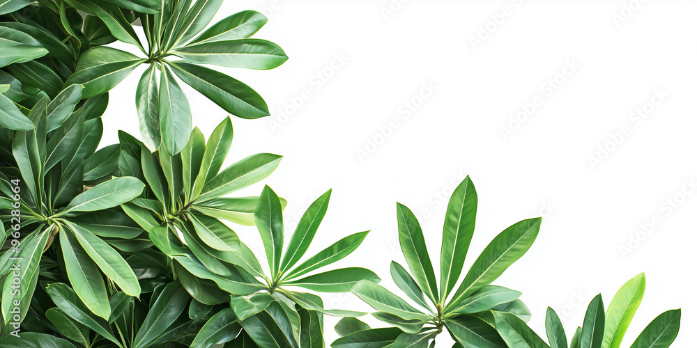 Lush green leaves framing a bright backdrop for a natural and serene atmosphere in a peaceful setting. Generative AI. Lush green leaves framing a bright backdrop for a natural and serene atmosphere in a peaceful setting. Generative AI.