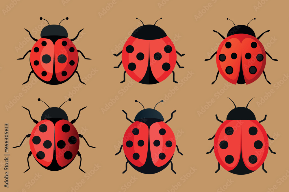 A set of Ladybug A set of Ladybug