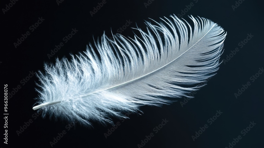 Obraz premium Close-up of a pristine white feather with fine details, floating against a jet-black backdrop