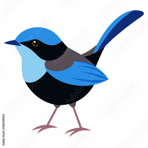  Australian fairy-wren vector art illustration on white background