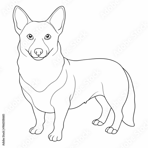 Pembroke Welsh Corgi dog vector line art in white background