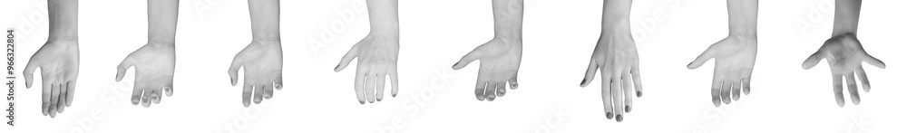 Hands signs, gestures of grabbing, holding, taking, set isolated on white background.