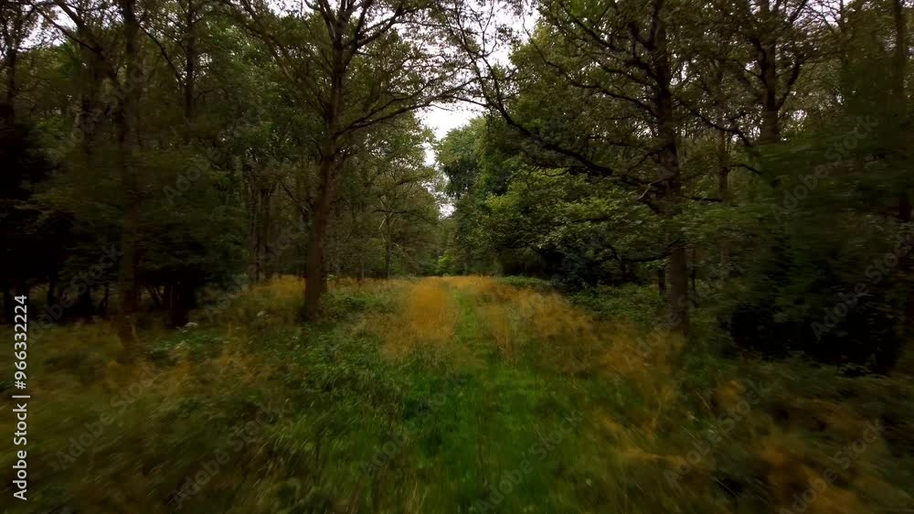 Aerial video over Bourne Woods Bourne UK Aerial video over Bourne Woods Bourne UK