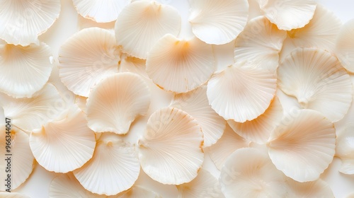 5. Neatly arranged slices of scallops, highlighting their creamy, pearlescent texture and delicate flavor on a pristine white background