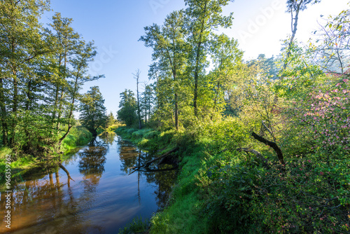 A river with trees on both sides