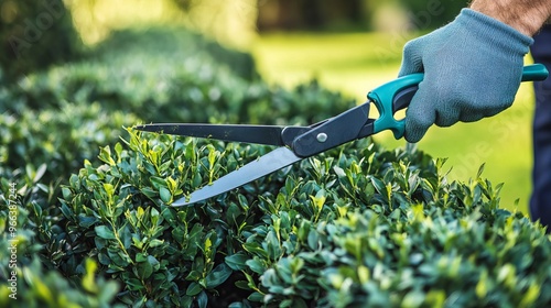 A skilled male gardener uses trimming shears to meticulously prune decorative bushes, enhancing the aesthetics of a private yard's landscaping. 