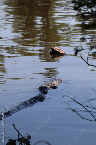 Lac Martin, Louisiane photo