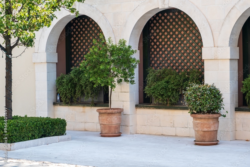 Terracotta potted plants by arched windows and lattice Terracotta potted plants by arched windows and lattice
