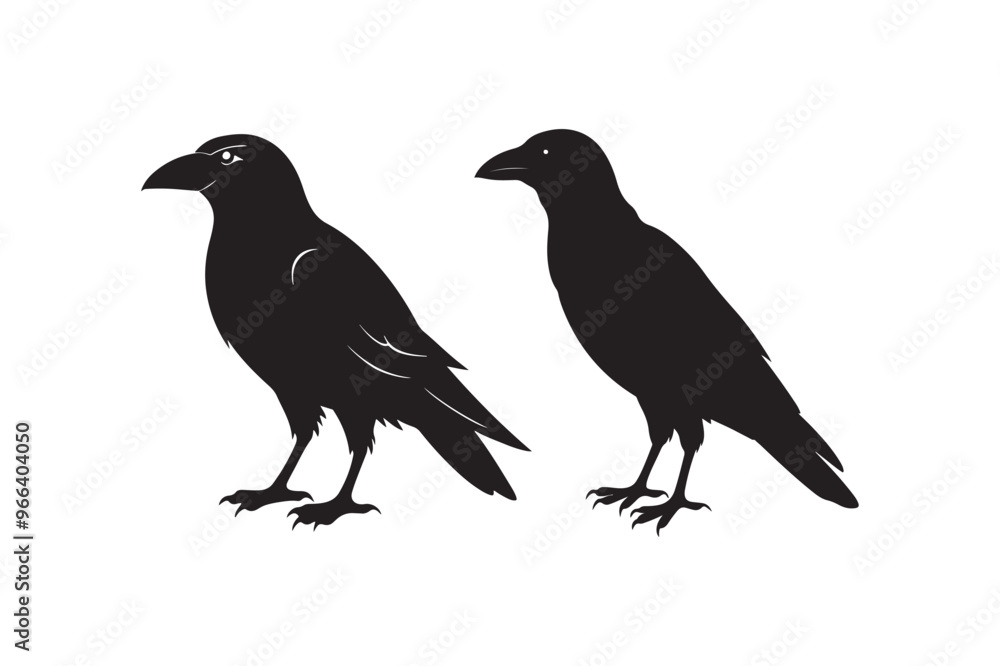Crow silhouette vector illustration, Crow silhouette vector illustration,