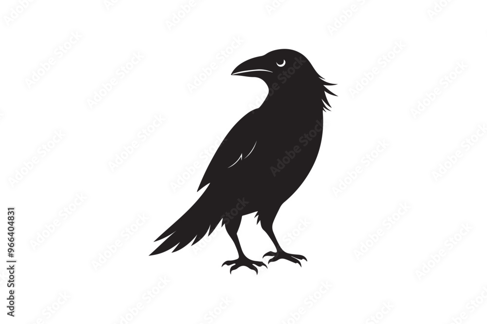 Crow silhouette vector illustration, Crow silhouette vector illustration,
