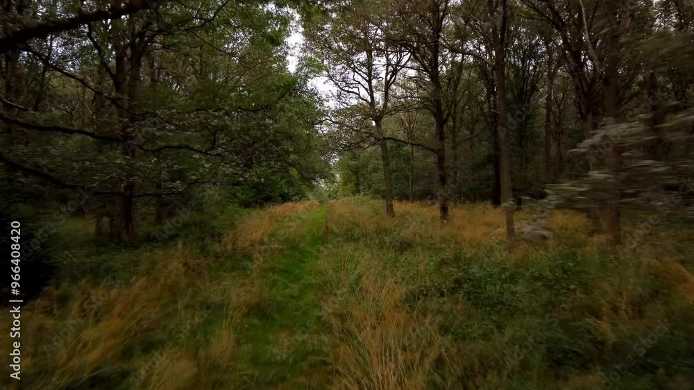 Aerial video over Bourne Woods Bourne UK Aerial video over Bourne Woods Bourne UK