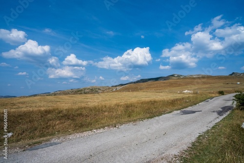 Lonely road through grassy plains with mountains