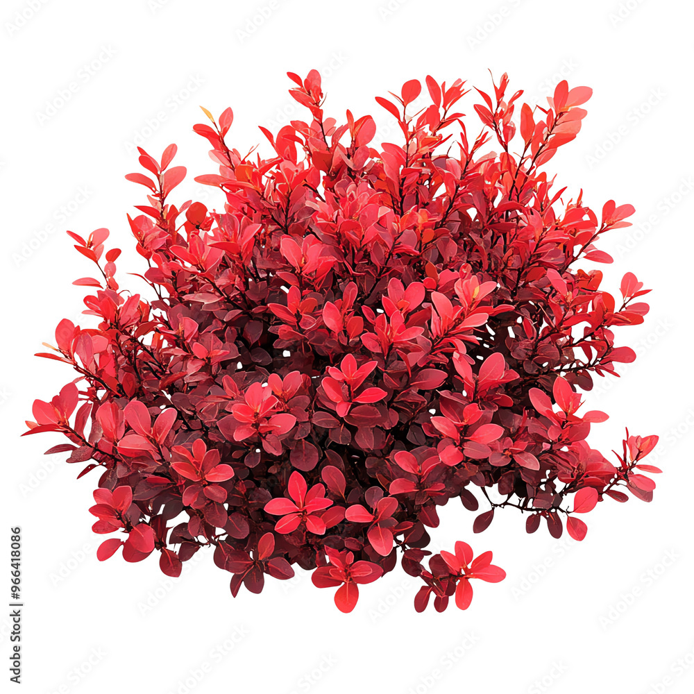 custom made wallpaper toronto digitalA vibrant red bush with lush leaves against a Transperant background., creating a striking contrast and a visually appealing composition.