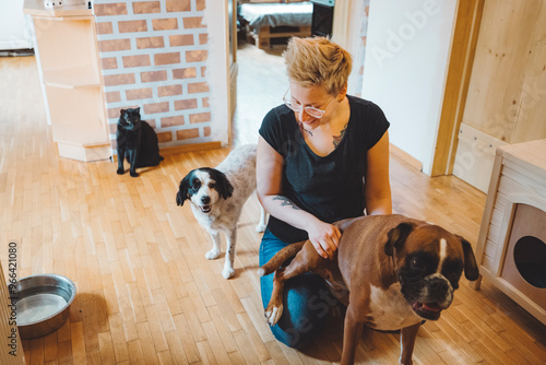 Photography A woman with short blonde hair and glasses interacts with two dogs in a cozy home environment