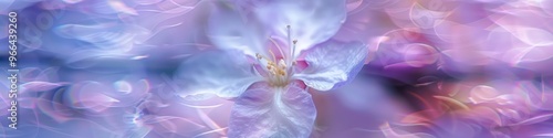 Blurred thorn apple featuring a violet and white flower, emphasizing the center photo