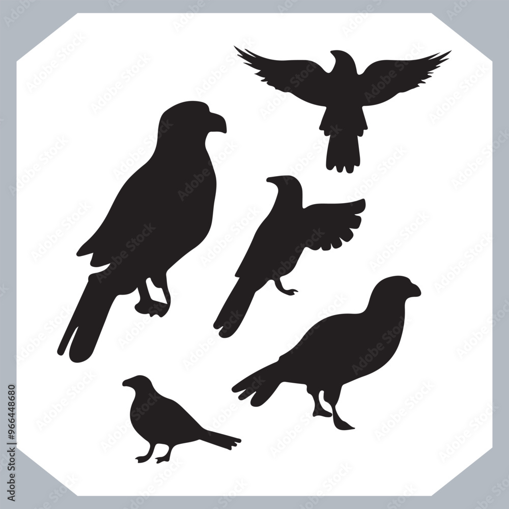 Fototapeta premium Set of black bird silhouettes and birds collection, bird set design. Eagle, Parrot, Penguin, Owl, Sparrow, Peacock, Flamingo, Hummingbird, Ostrich, Hawk.