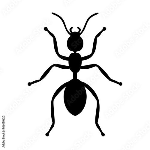 Simple black and white ant icon isolated on white background