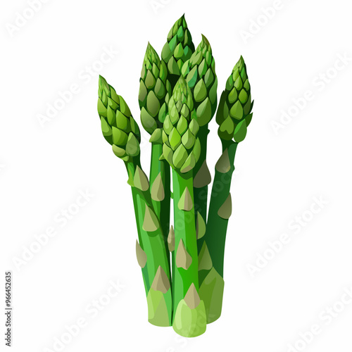 asparagus