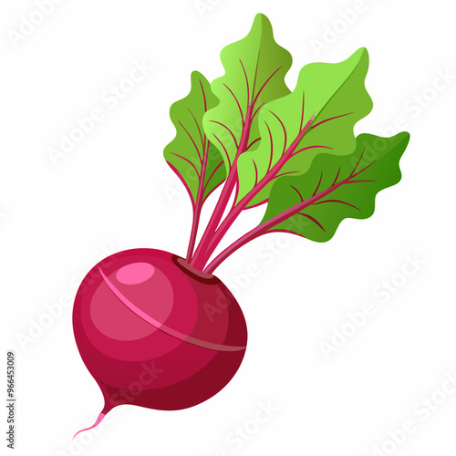 beetroot isolated on white