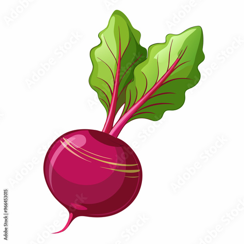 beetroot isolated on white