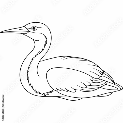 a bittern bird is lying down, vector illustration line art photo