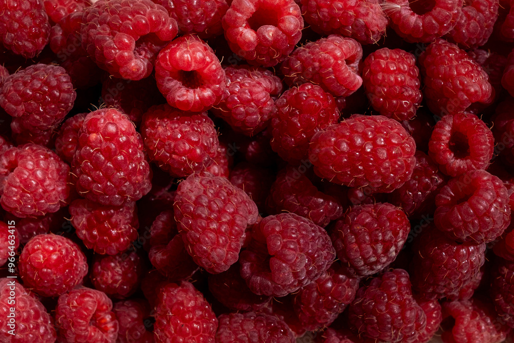 Fresh large organic raspberries. Top view. Taste and aroma concept Fresh large organic raspberries. Top view. Taste and aroma concept