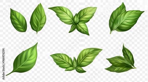 A set of green leaves with varying sizes and shapes