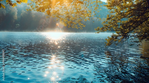 Peaceful Lakeside Scene with Clear Water and Sparkling Sunlight