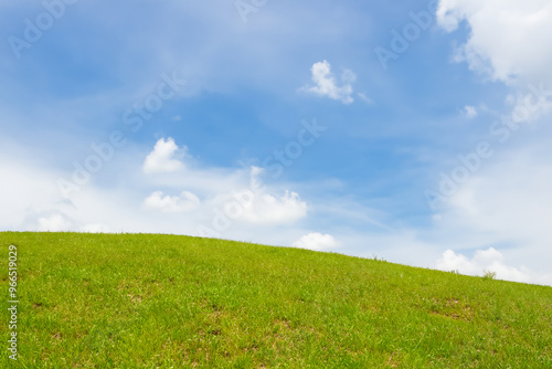 A grassy hill under a blue sky with fluffy white clouds.