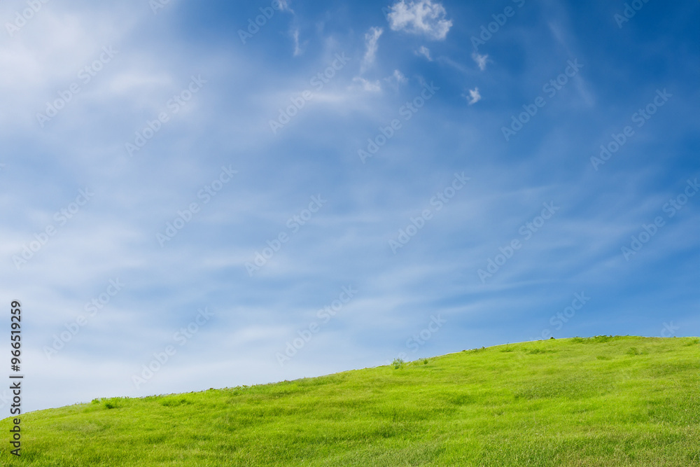Lush green field with blue sky and wispy clouds. Lush green field with blue sky and wispy clouds.