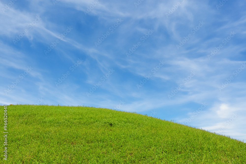 Lush green grass hill under a bright blue sky with wispy white clouds. Lush green grass hill under a bright blue sky with wispy white clouds.