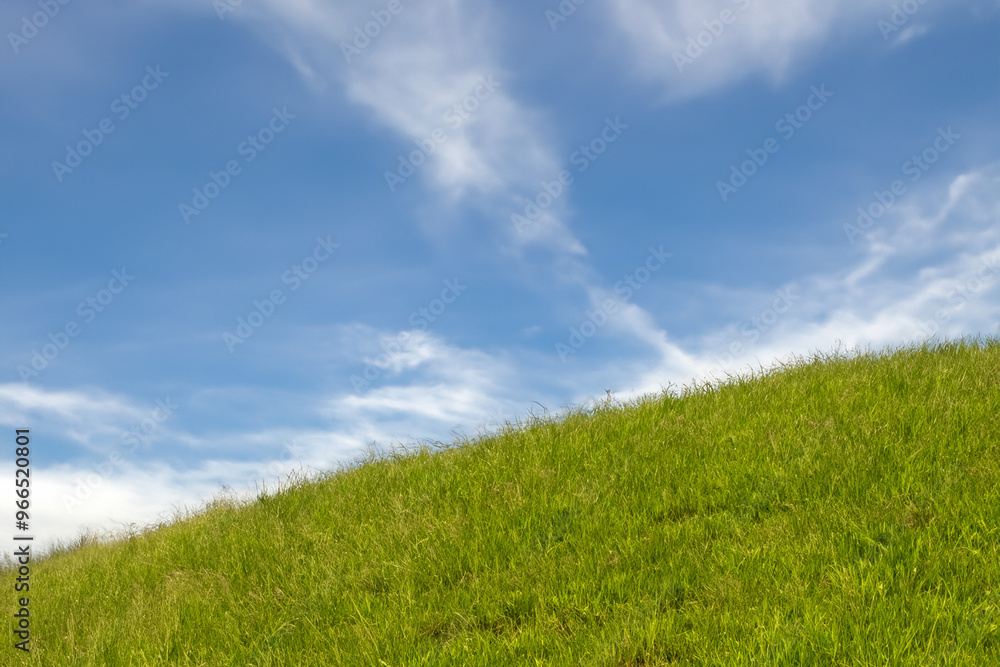Lush green grass hill against a bright blue sky with thin white clouds. Lush green grass hill against a bright blue sky with thin white clouds.