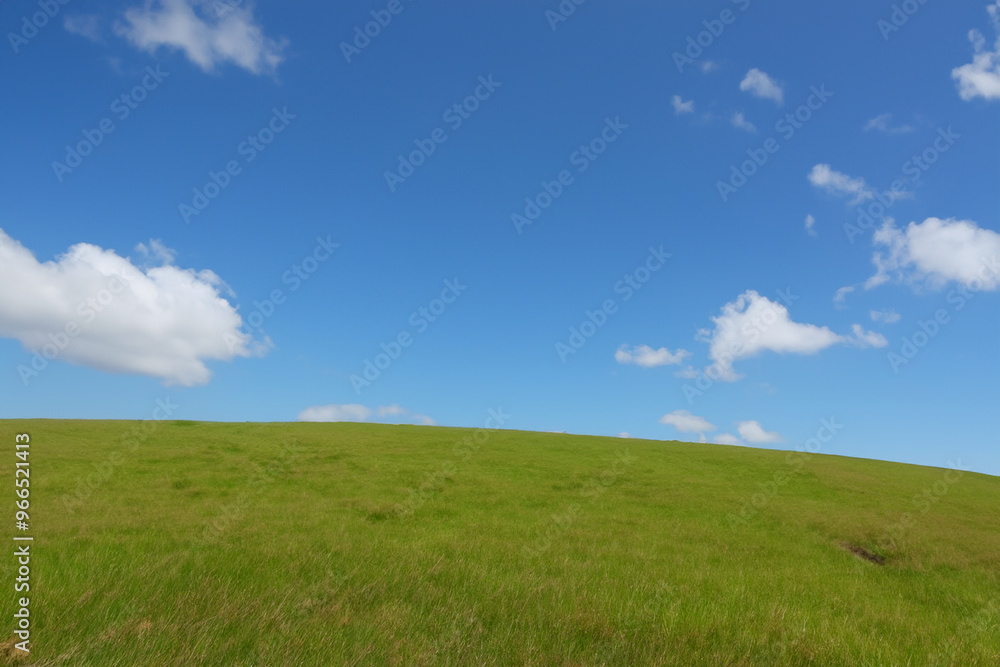 Lush green grassy field under a blue sky with white clouds. Lush green grassy field under a blue sky with white clouds.