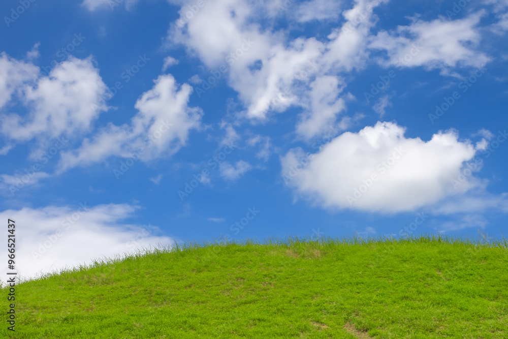 A grassy hill with a blue sky and white clouds above. A grassy hill with a blue sky and white clouds above.