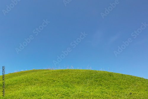 A vibrant green grassy hill against a clear blue sky.