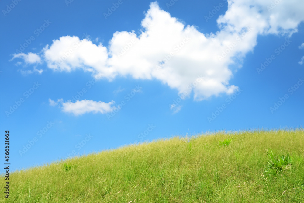 A grassy hill with a blue sky and white clouds above. A grassy hill with a blue sky and white clouds above.