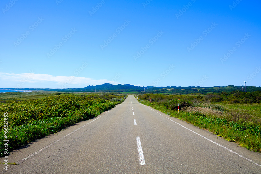 Fototapeta premium 黄金道路