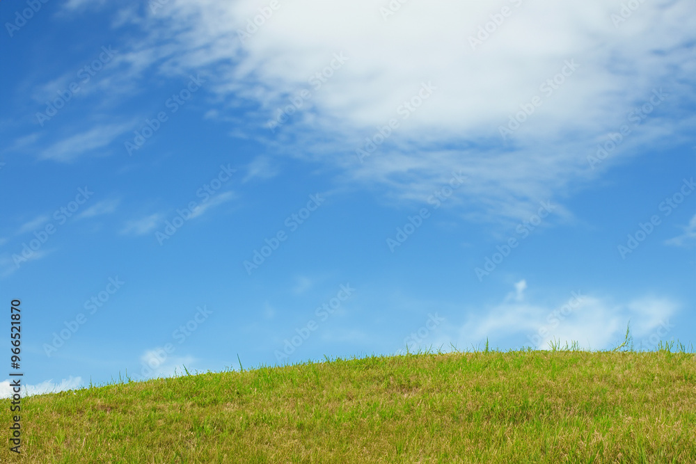 A grassy hill under a bright blue sky with white puffy clouds. A grassy hill under a bright blue sky with white puffy clouds.